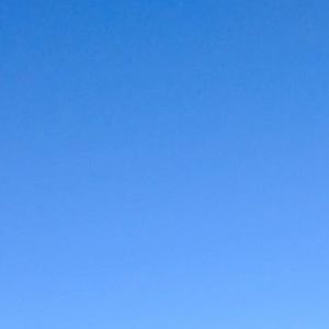 Meet your Posher, Molly